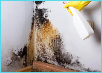 Fort Lauderdale Restoration Company Fort Lauderdale, FL 954-417-0601 Fort Lauderdale Restoration Company Fort Lauderdale, FL 954-417-0601