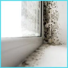 Fort Lauderdale Restoration Company Fort Lauderdale, FL 954-417-0601 Fort Lauderdale Restoration Company Fort Lauderdale, FL 954-417-0601