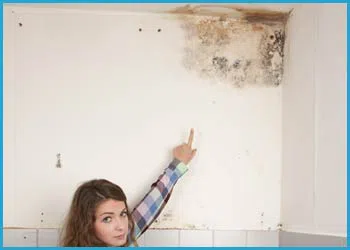 Fort Lauderdale Restoration Company Fort Lauderdale, FL 954-417-0601