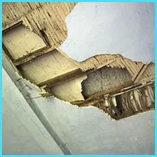 Fort Lauderdale Restoration Company Fort Lauderdale, FL 954-417-0601