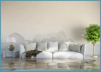 Fort Lauderdale Restoration Company Fort Lauderdale, FL 954-417-0601 Fort Lauderdale Restoration Company Fort Lauderdale, FL 954-417-0601