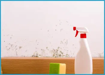 Fort Lauderdale Restoration Company Fort Lauderdale, FL 954-417-0601