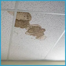 Fort Lauderdale Restoration Company Fort Lauderdale, FL 954-417-0601 Fort Lauderdale Restoration Company Fort Lauderdale, FL 954-417-0601